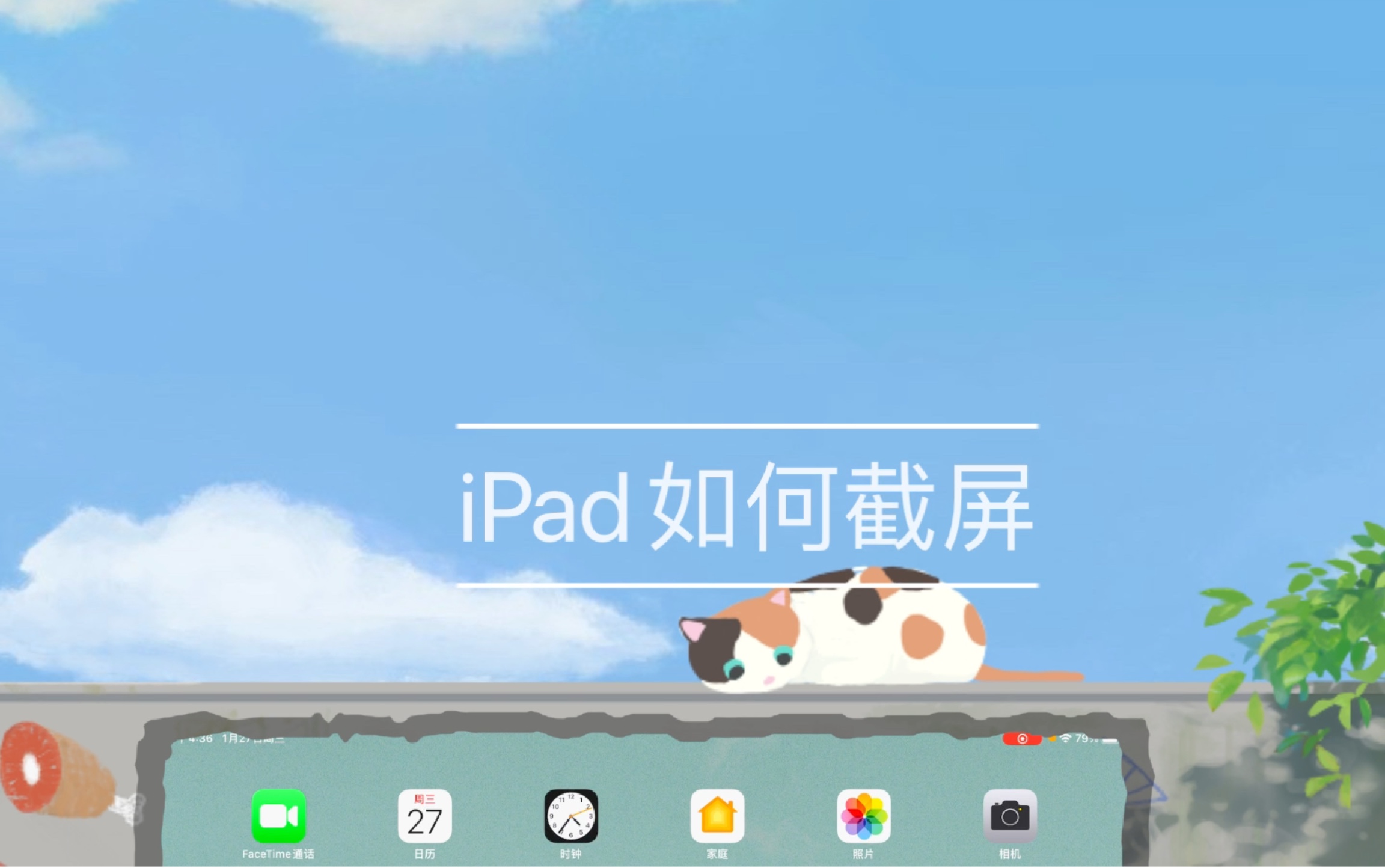 iPad如何截屏哔哩哔哩bilibili