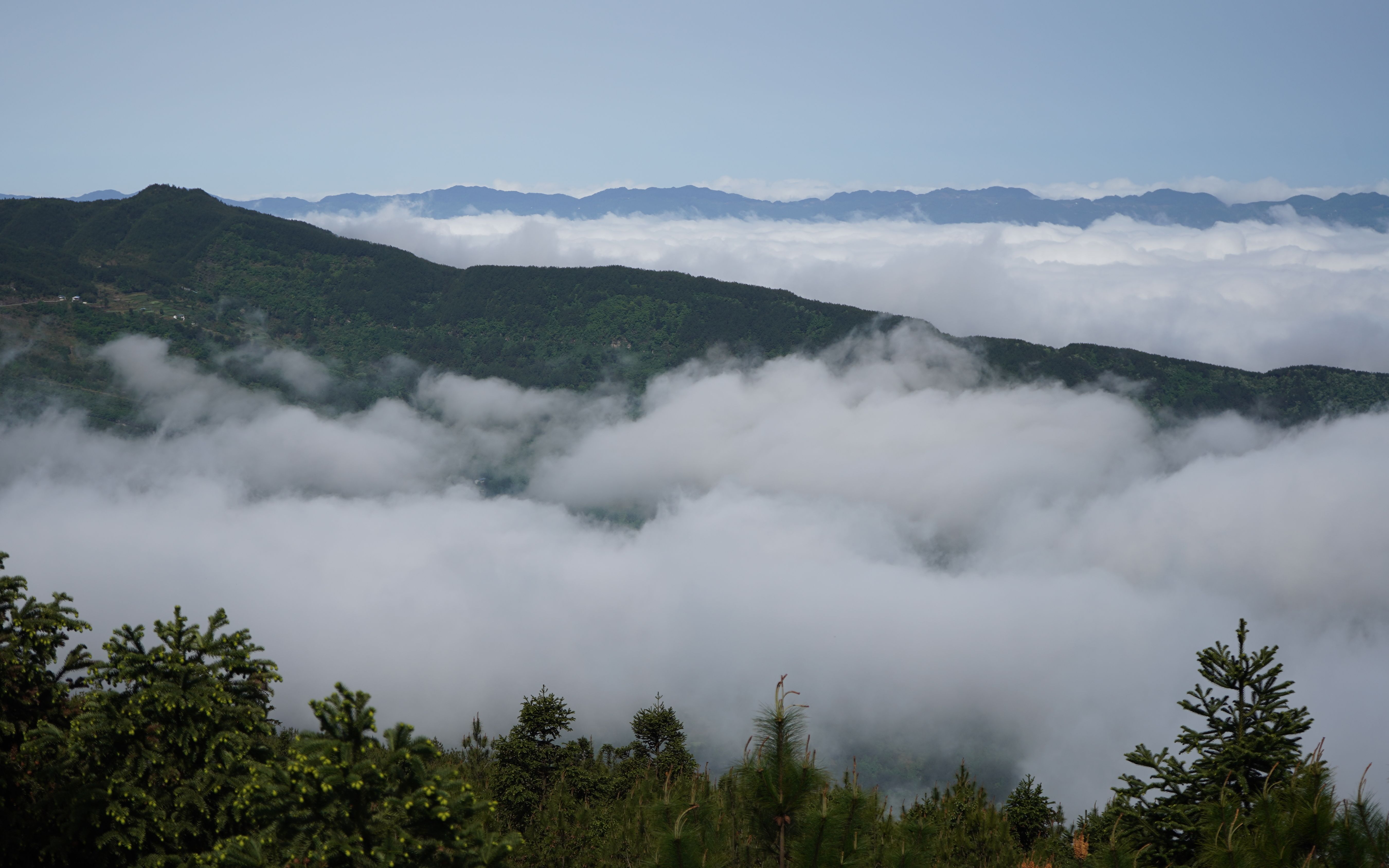 开州铁峰山森林公园图片