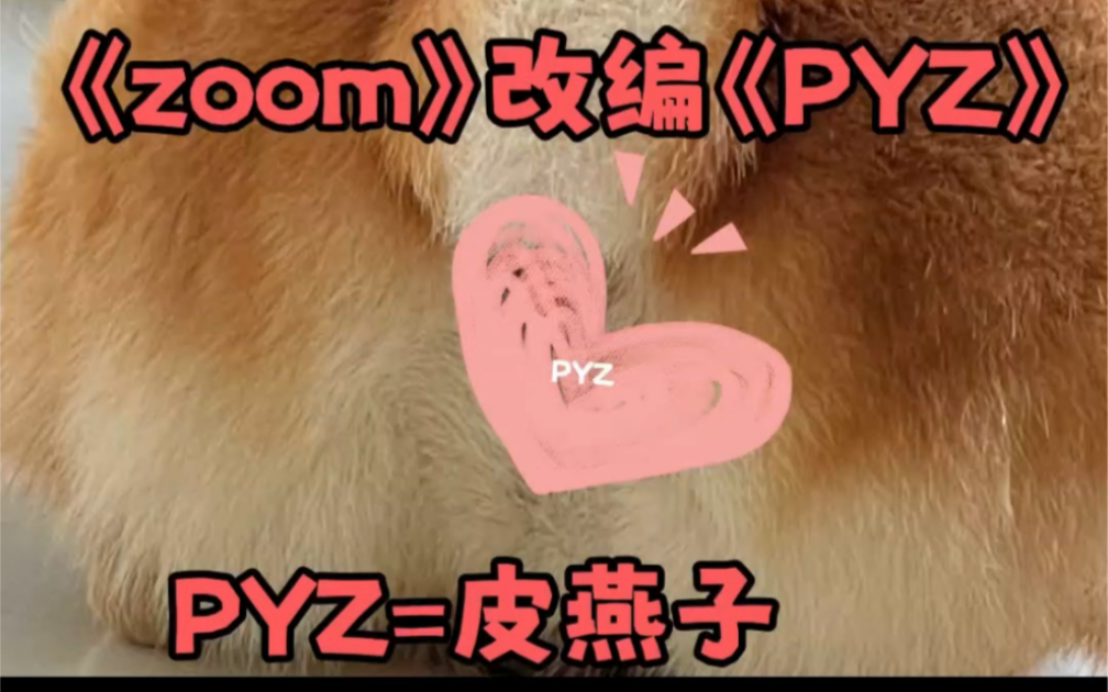 ZOOM改编洗脑单曲PYZ(皮燕子)from pyz教教主崔板鸭哔哩哔哩bilibili