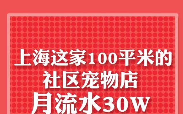 [图]【宠物店】上海这家100平的宠物店月流水30万