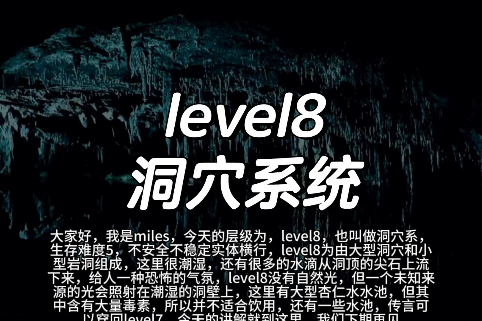 level8游戏杂谈