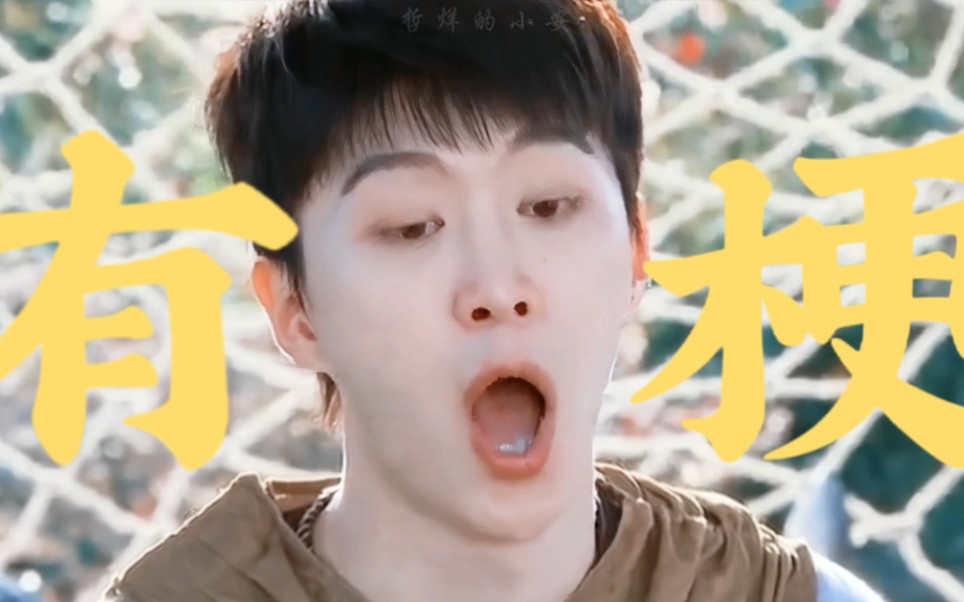 各大综艺都给我请范丞丞!