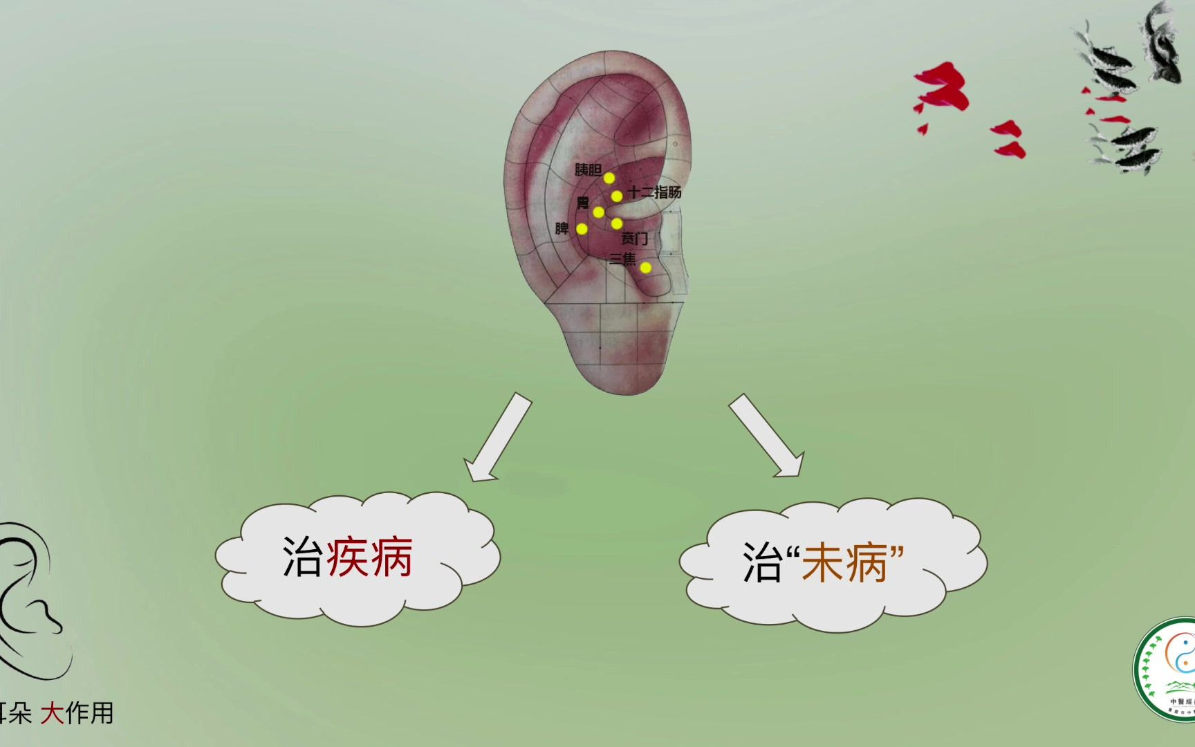 [图]重庆市中医院中医经典科宣教：小耳朵大作用