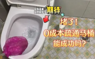 Download Video: 斥资12买工具疏通马桶，竟抵不过0成本小窍门！？