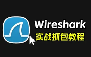 Download Video: 【实战教程】150分钟教你使用Wireshark抓包（有干货）