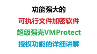 VMProtect授权功能的详细讲解