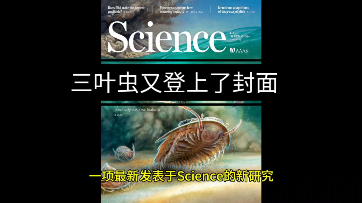 【Science封面】原始状态的寒武纪三叶虫3D解剖结构:来自被火山灰掩埋的深处哔哩哔哩bilibili