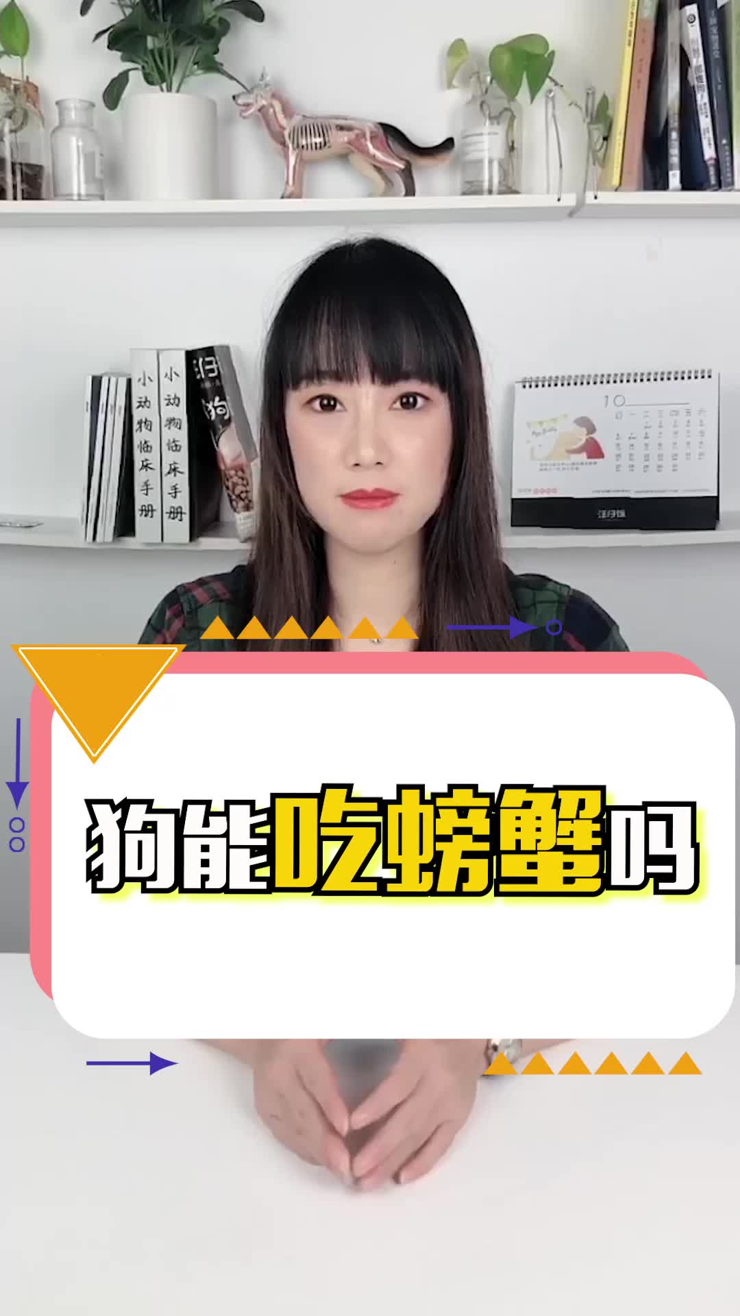 狗能吃螃蟹吗哔哩哔哩bilibili