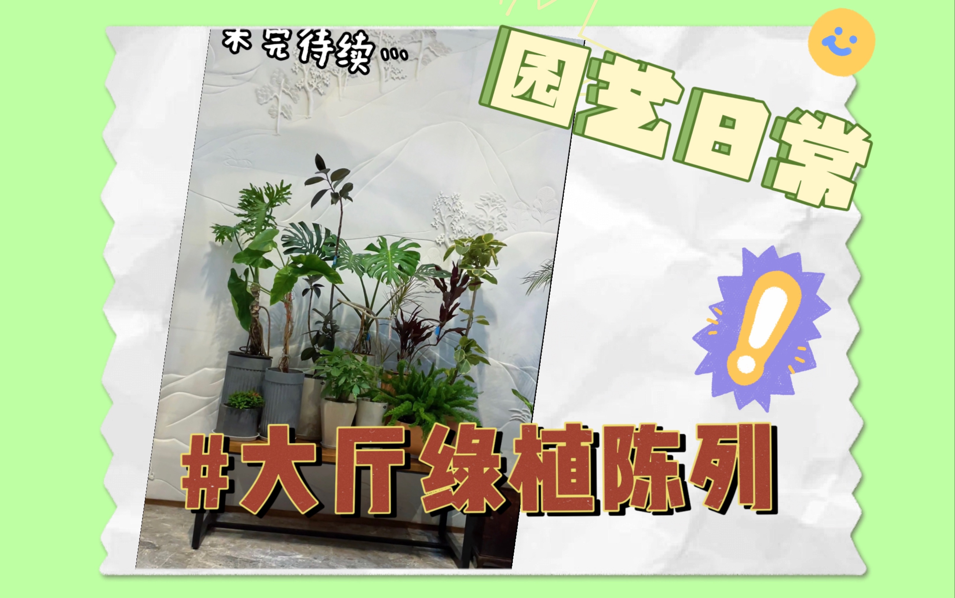 我们把植物店开在写字楼大厅(上)哔哩哔哩bilibili