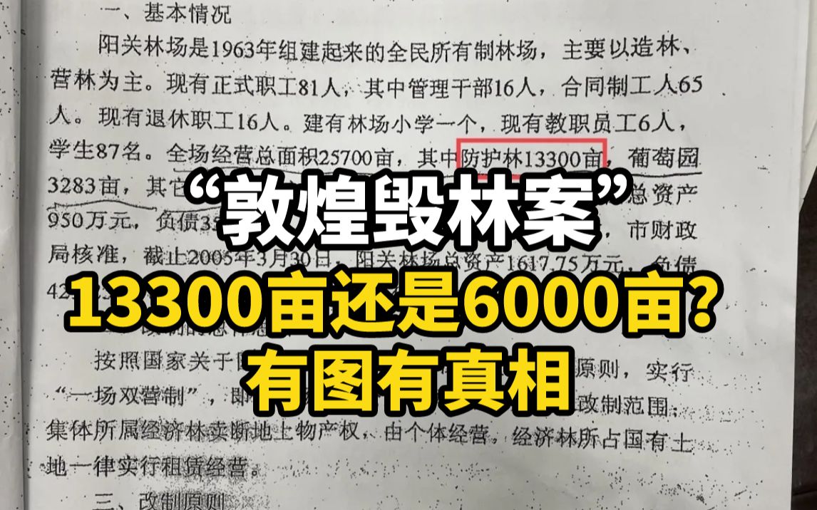 “敦煌毁林案”:13300亩还是6000亩?有图有真相哔哩哔哩bilibili