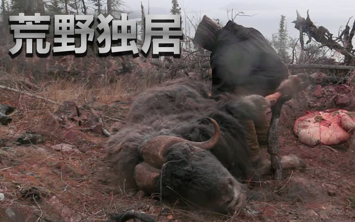荒野独居第七季第6集麝牛