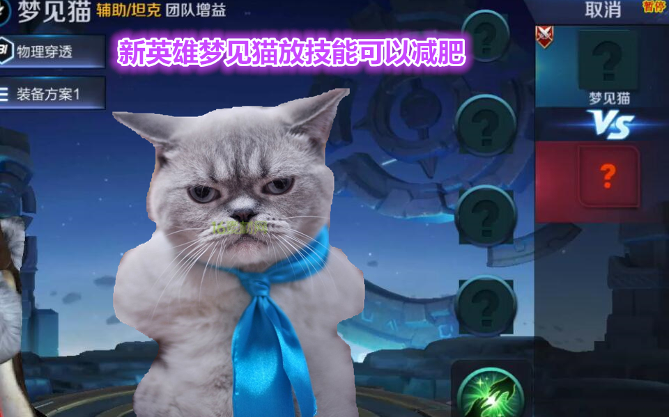 王者荣耀s9新英雄竟是一只猫比地图还大的梦见猫