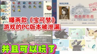 Download Video: 曝两款《宝可梦》游戏的PC版本被泄漏：并且可以玩了