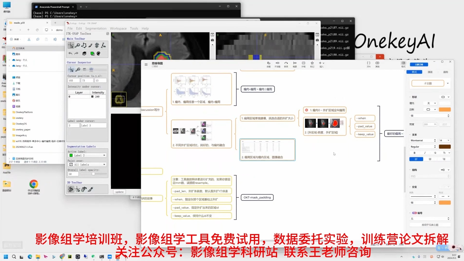 一站式肿瘤治疗解决方案的跨学科合作模式探讨哔哩哔哩bilibili