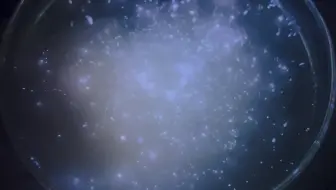 鲁米诺就像星空一样实验