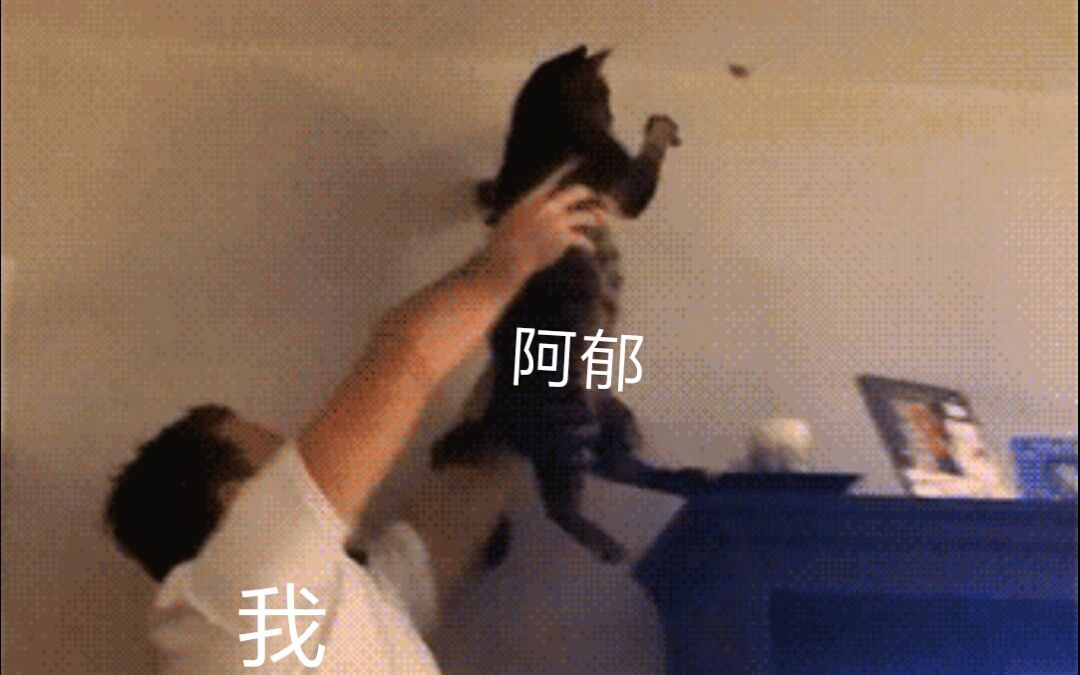 【阿郁的小黑猫】猫片,猫呼噜+喵的舔舔(◔◡◔) 带上耳机,让猫咪舔你的脑袋..哔哩哔哩bilibili