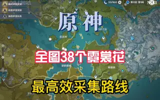 霓裳花 哔哩哔哩 Bilibili
