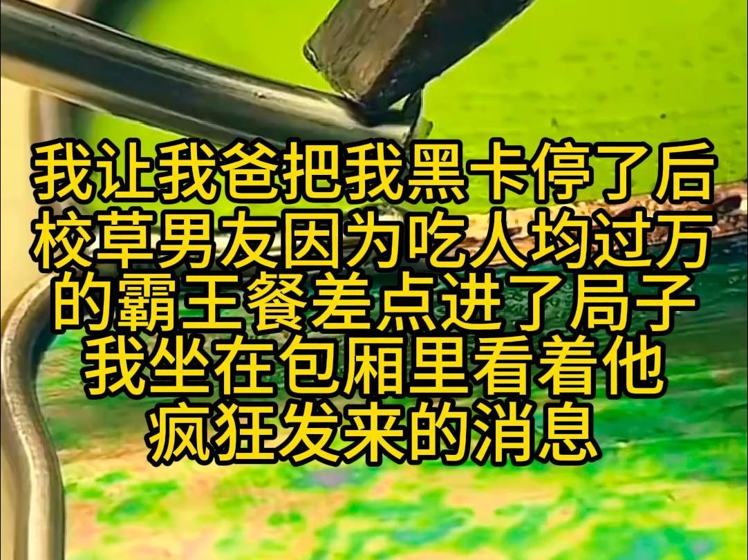 我让我爸把我黑卡停了后,校草男友因为吃人均过万的霸王餐差点进了局子,我坐在包厢里看着他疯狂发来的消息哔哩哔哩bilibili