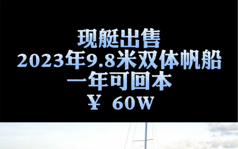 出售2023年9.8米双体帆船,一年可回本.哔哩哔哩bilibili