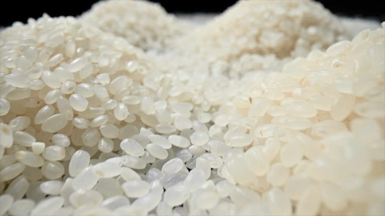 韩国大米产量50多年来最低 韩国拟开仓放粮