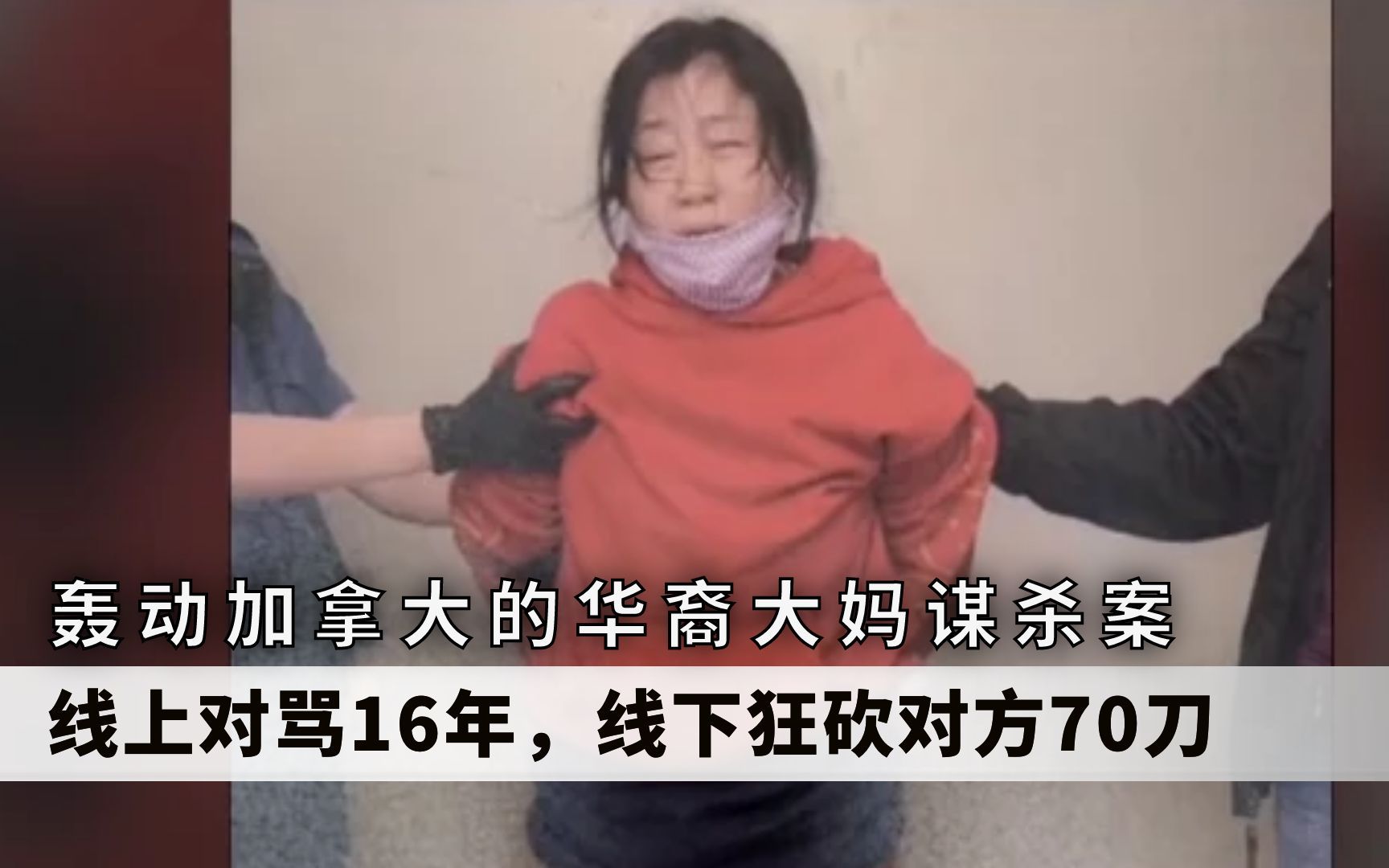 轰动加拿大的华裔大妈谋杀案,线上对骂16年,线下狂砍对方70刀