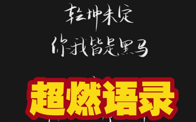 励志语录┃我们顶峰相见┃那些敲中我心弦的句子哔哩哔哩bilibili