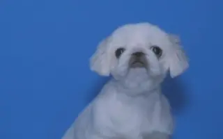 かえみと 搜索结果 哔哩哔哩 Bilibili