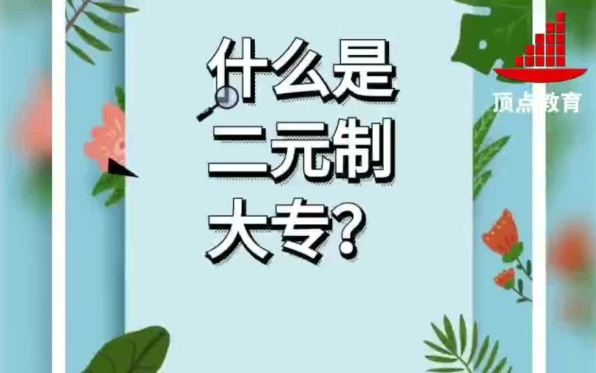 什么是二元制大专?哔哩哔哩bilibili