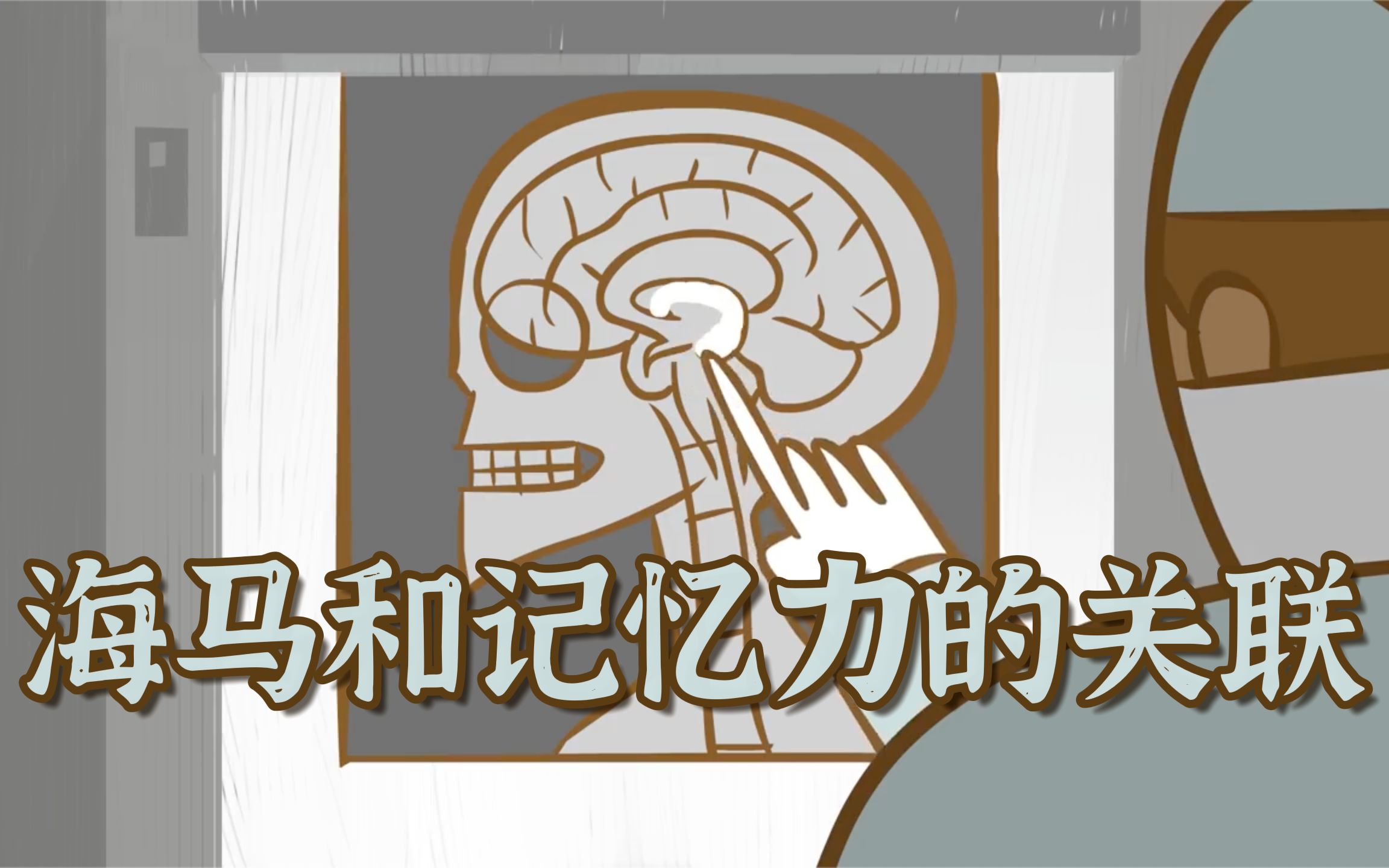 TED双字|让上百名心理学家废寝忘食半个世纪的奇迹海马体 | 海马体被移除后会发生什么|中英字幕哔哩哔哩bilibili