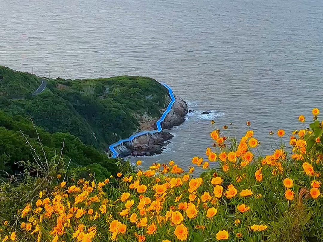 衢山岛,舟山宝藏小岛,需要做轮渡才能上岛哔哩哔哩bilibili