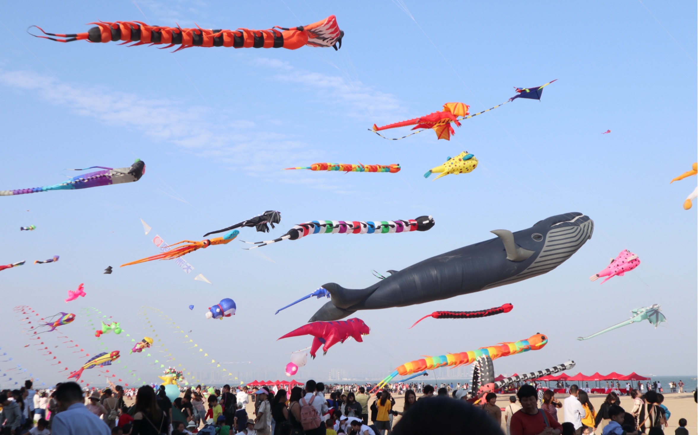 可可爱爱的巨型风筝!