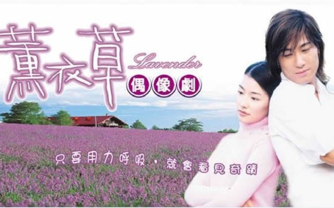 薰衣草2001哔哩哔哩bilibili