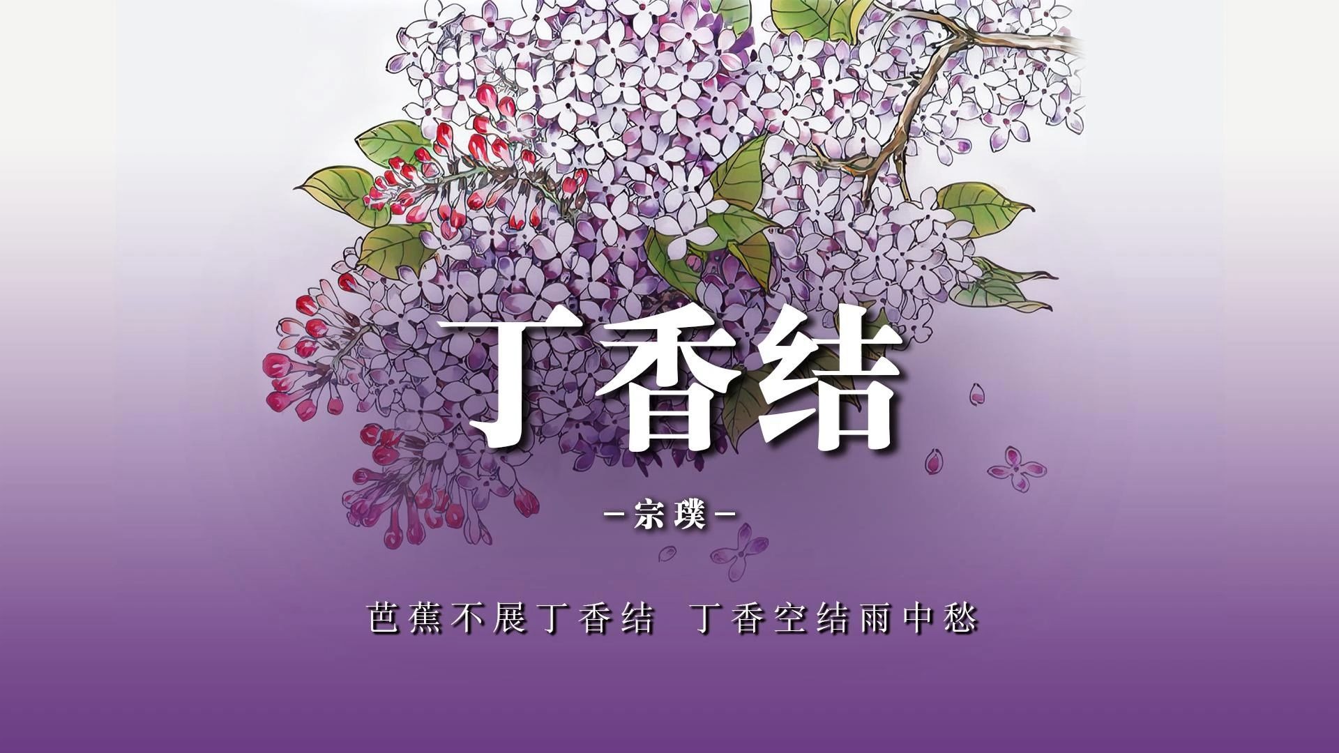 《丁香结》每个人一辈子都有许多不顺心的事，一件完了一件又来。所以丁香结年年都有。结，是解不完的；人生中的问题也是解不完的，不然，岂不太平淡无味了吗？
