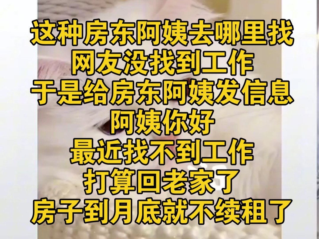 这种房东阿姨去哪里找,网友没找到工作,于是给房东阿姨发信息,阿姨你好,最近找不到工作,打算回老家了,房子到月底就不续租了哔哩哔哩bilibili