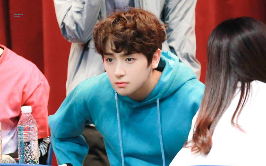 【补档|李贤在】这里有狗狗在爱你~眼睛亮晶晶 8215180428 板桥