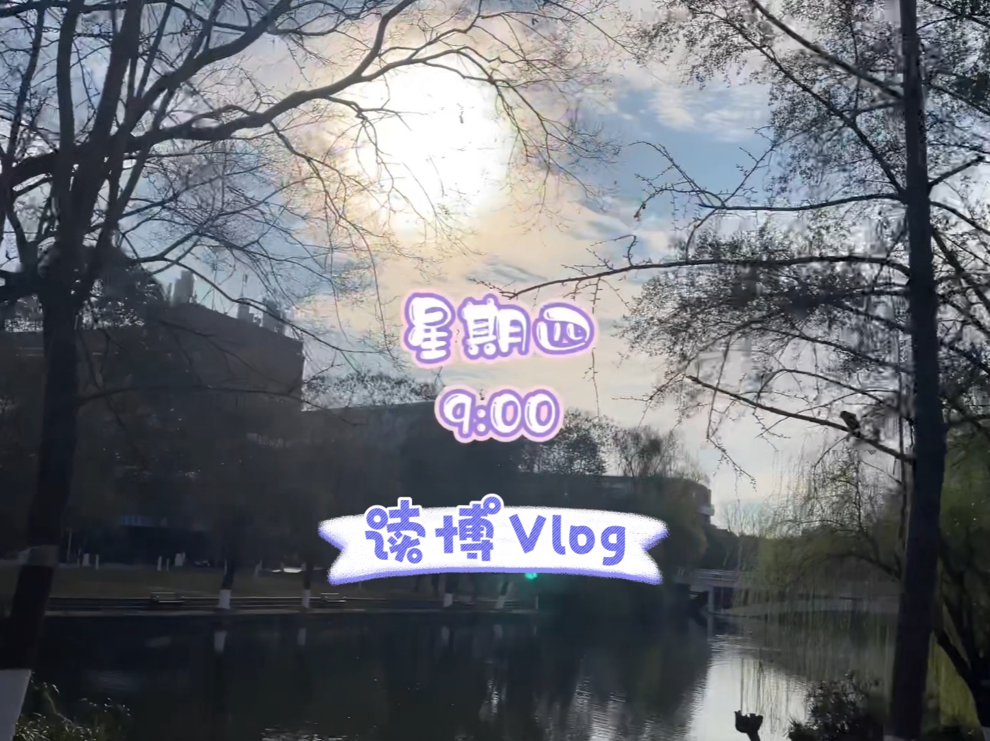 读博vlog|记录平平无奇的打工日常|聊聊当初为什么读研