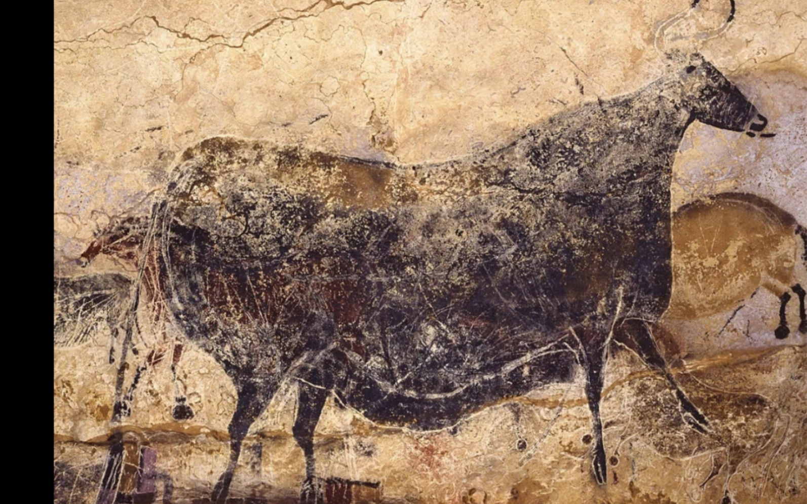 第一件,法国壁画上的牛,距今已经一万五千年……了