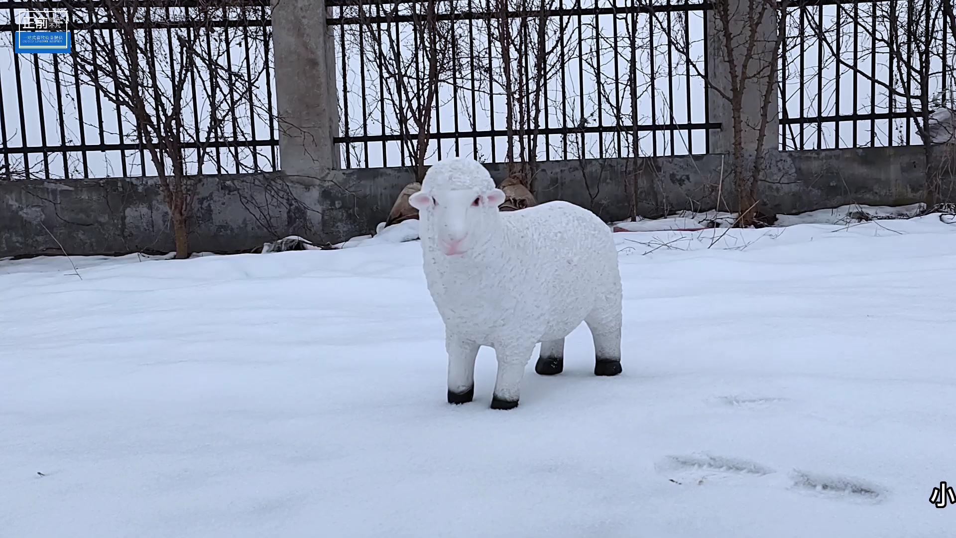 小羊/小羊羔冬季恒温保暖箱,全天24小时自动恒温,无需人工干预#养羊