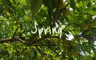 【短视频】《春天的微笑》