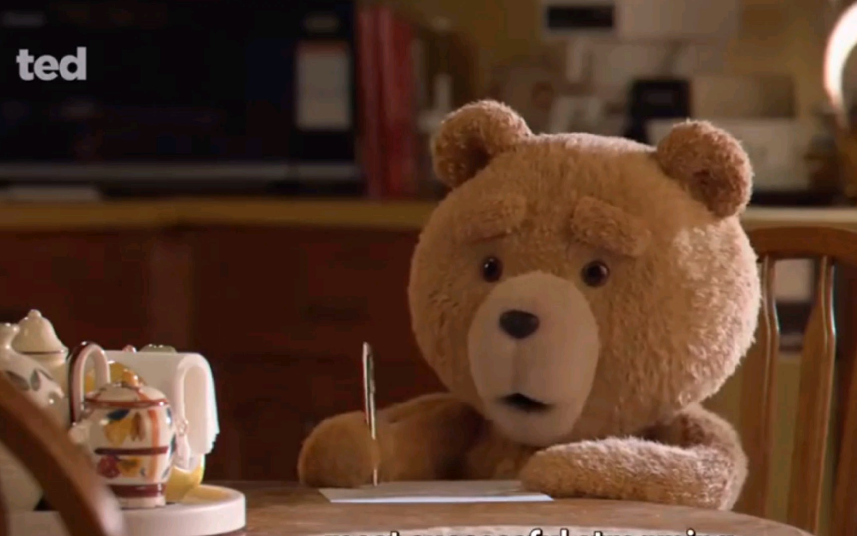 2024真人剧版《泰迪熊》先导预告,定档01月11日播出!