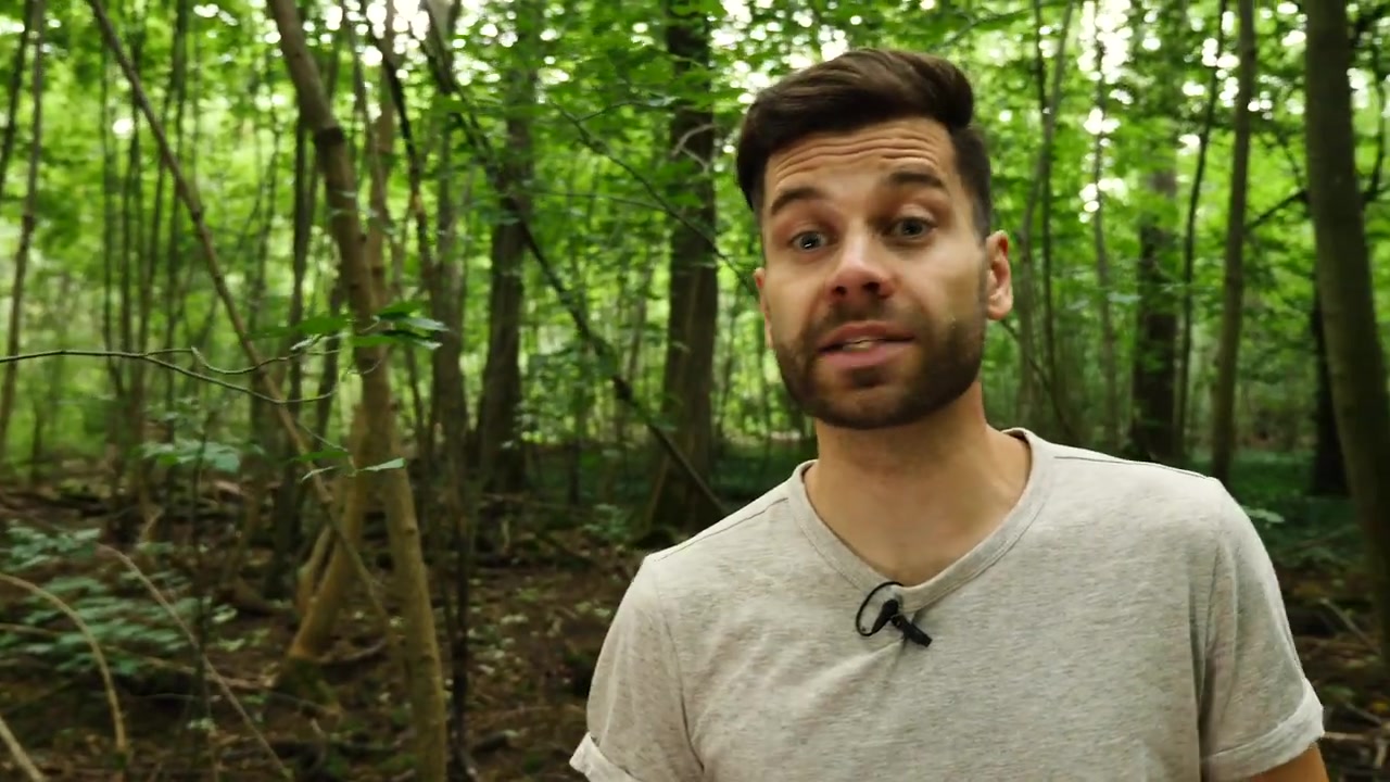 momintmal21: are animal species dying out due to climate chagee