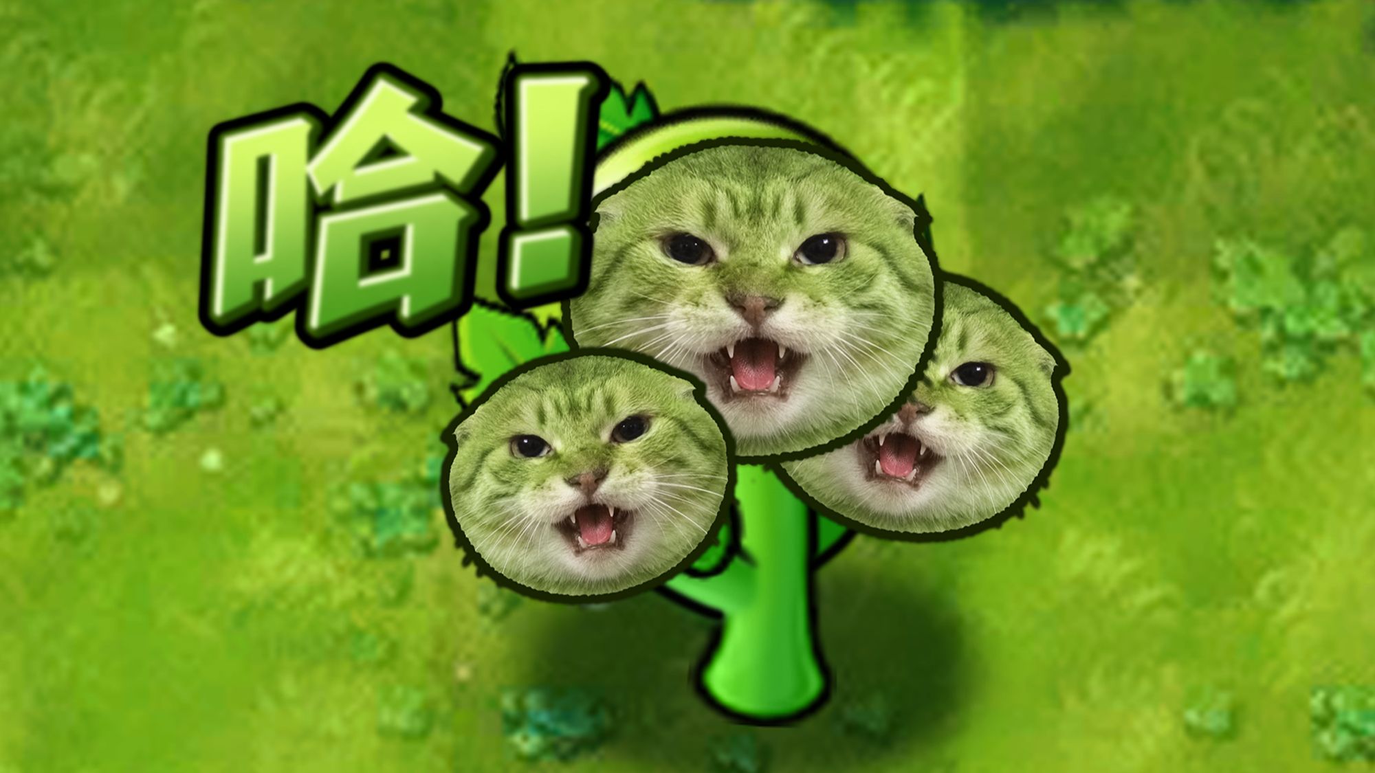 三线胆小：老吴 ³ ！！！