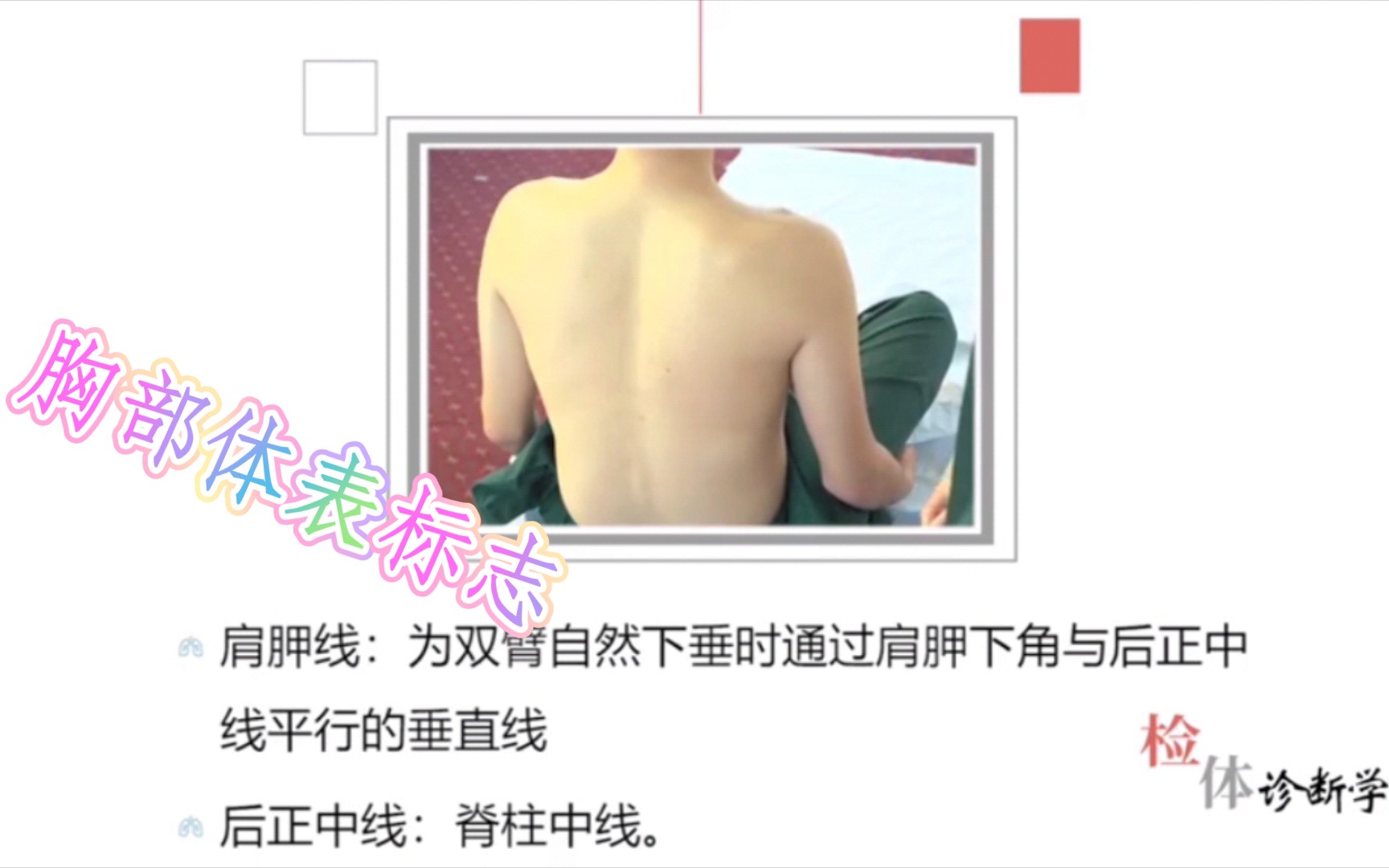 技能考试——胸部的体表标志哔哩哔哩bilibili