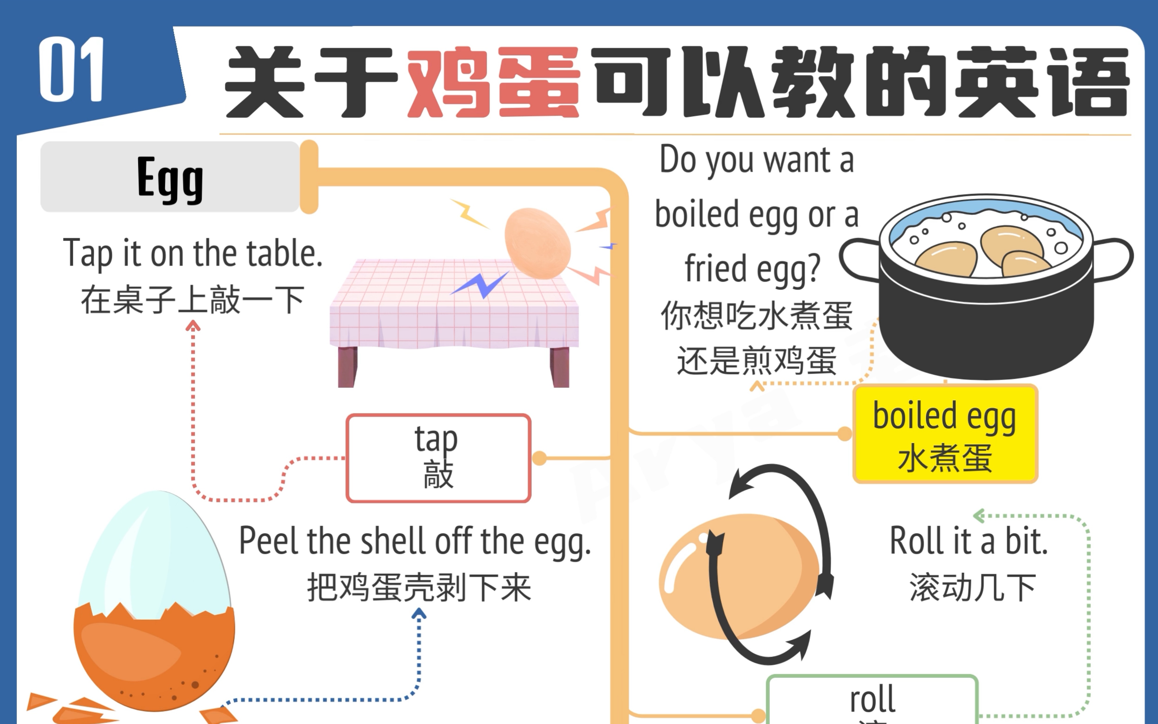 英语单词扩展阅读——鸡蛋