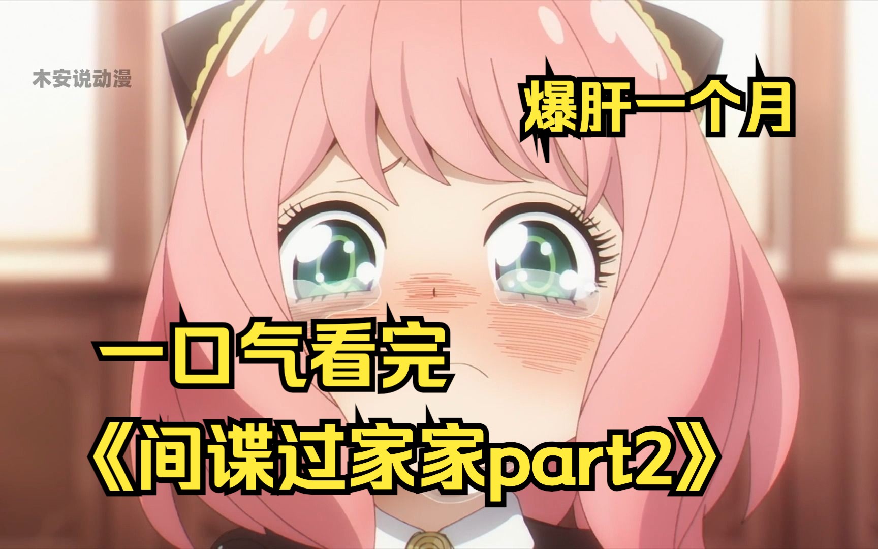 爆肝一个月！一口气看完《间谍过家家part.2》