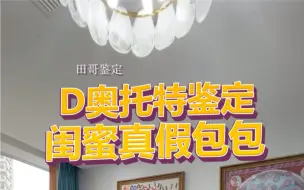 Télécharger la video: 闺蜜一摸一样的Dior Mini 托特，究竟谁真谁假？