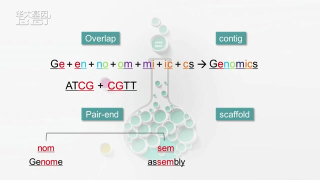 生物信息分析员认证: 六、基因组denovo组装原理及常用软件使用方法哔哩哔哩bilibili