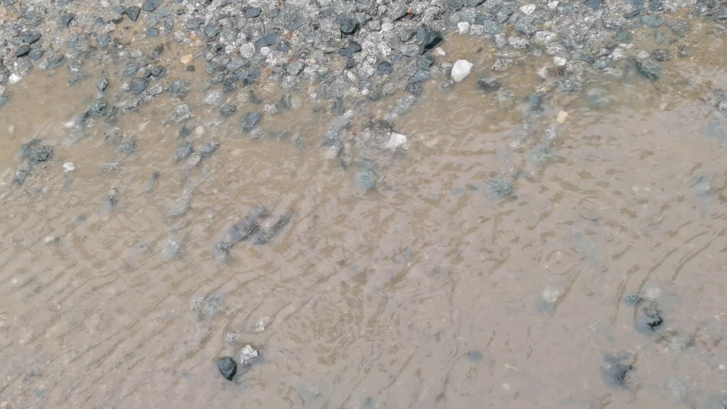 [图]七月雨绵绵，夏季旅途