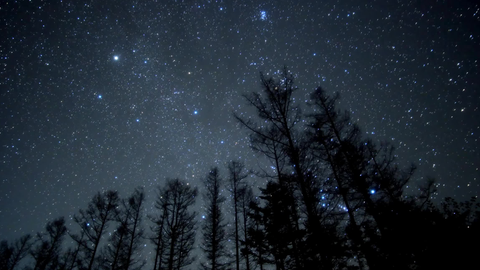 特推 18年しし座 狮子座 流星群の観測条件は良好です 哔哩哔哩 Bilibili