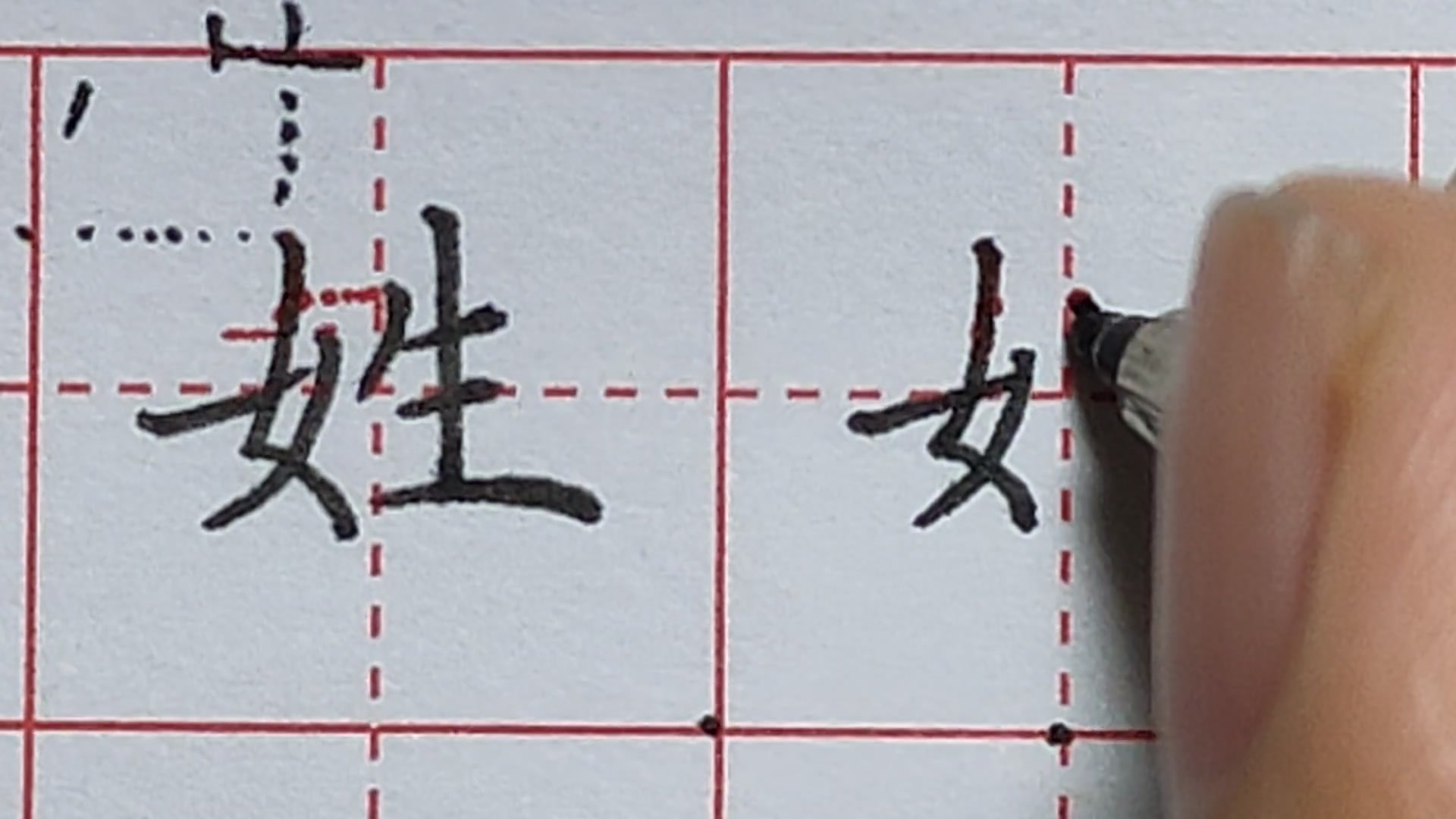 日常硬笔书法教学:姓